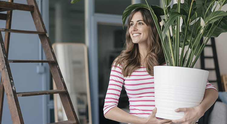 Woman holding potted plant in her bew home